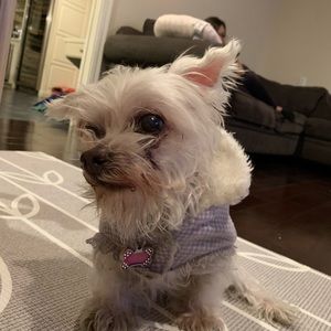 Meet your Posher, Jonathan